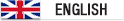 View this website in English